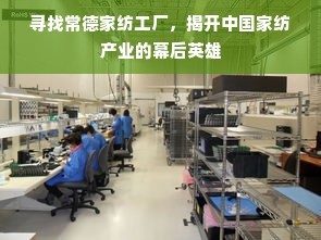 探索常德家紡工廠 揭秘中國(guó)家紡產(chǎn)業(yè)的幕后英雄與企業(yè)網(wǎng)絡(luò)技術(shù)的力量